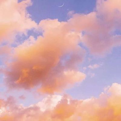 半岛官网入口网页版app下载